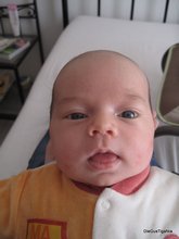 2011-03_0043.JPG