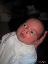 2011-03_0046.JPG