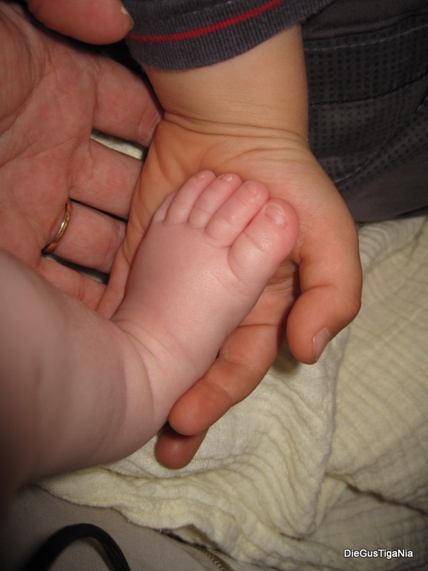 2011-04_0058.JPG