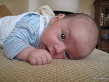2011-04_0007.JPG