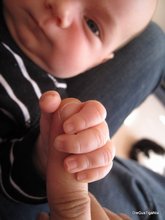 2011-04_0010.JPG