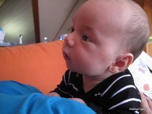 2011-04_0015.JPG