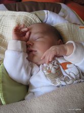 2011-04_0026.JPG