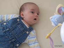 2011-04_0037.JPG
