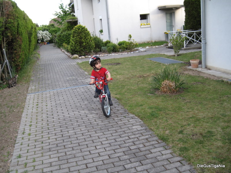 2011-05_0000.JPG