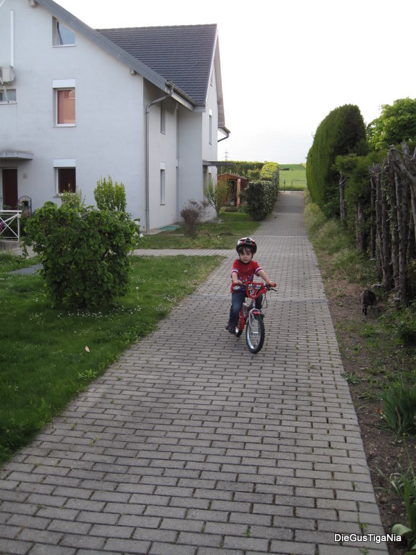 2011-05_0013.JPG