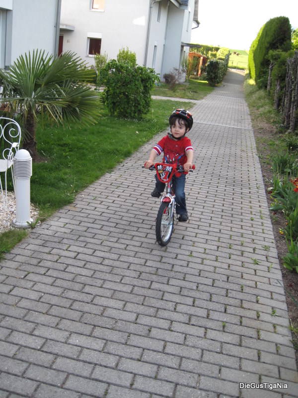 2011-05_0014.JPG
