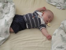 2011-05_0004.JPG