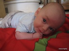 2011-05_0030.JPG