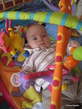 2011-05_0033.JPG