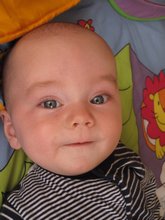 2011_08_0030.jpg