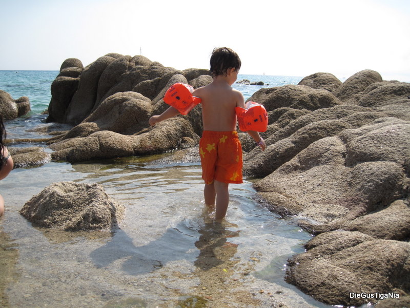 2011-09-15.jpg