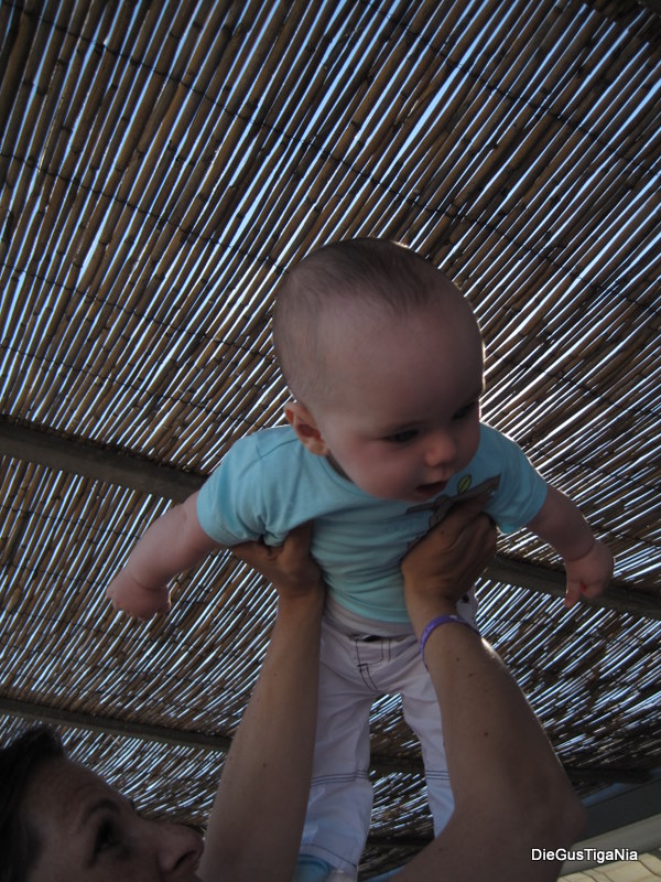 2011-09-38.jpg