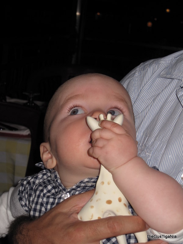 2011-09-45.jpg