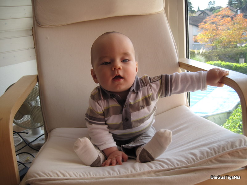 2011-10-18.jpg