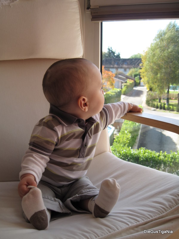 2011-10-19.jpg