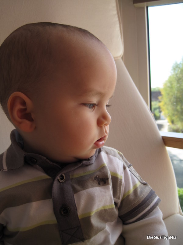 2011-10-20.jpg