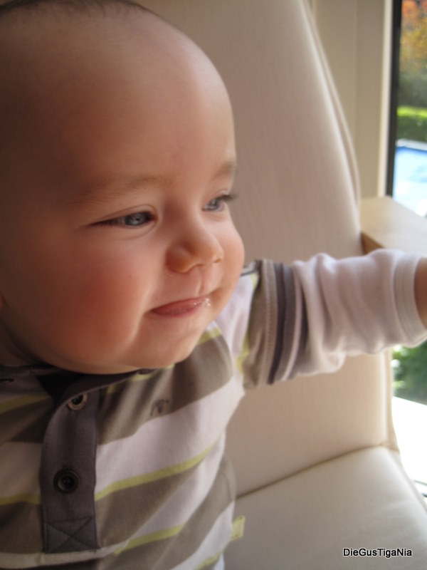 2011-10-22.jpg