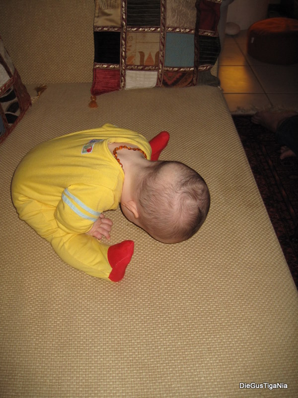 2011-10-32.jpg