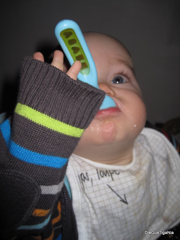 2011-11-08.jpg