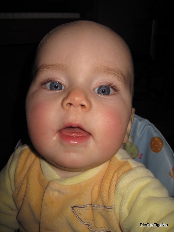 2011-11-09.jpg
