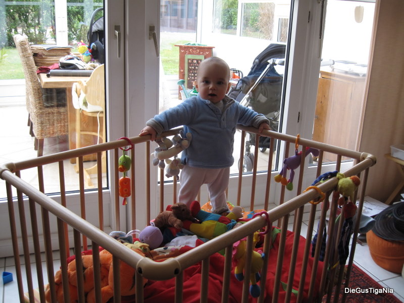 2011-11-32.JPG