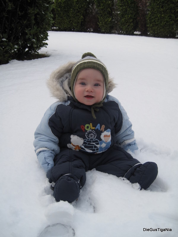 2011-12-060.JPG