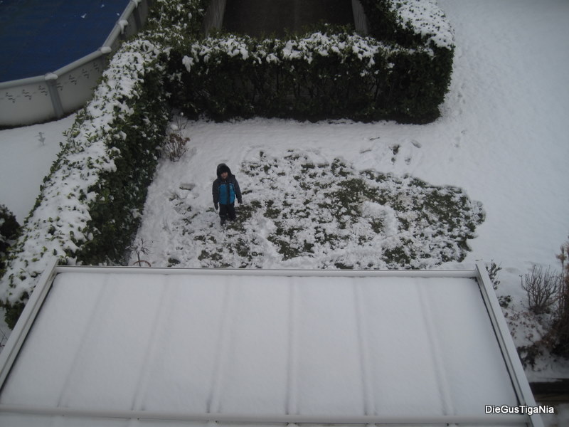 2011-12-062.jpg