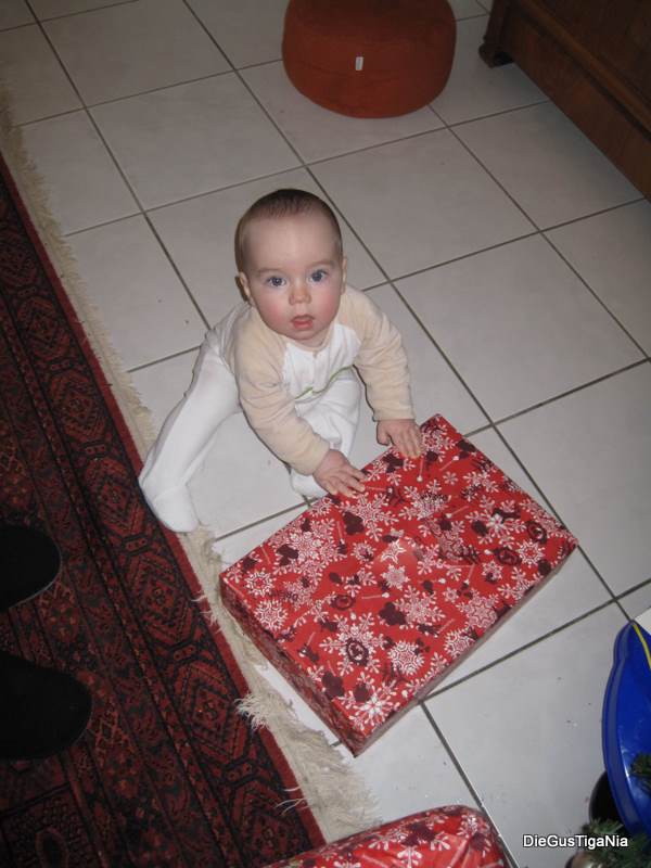 2011-12-088.JPG