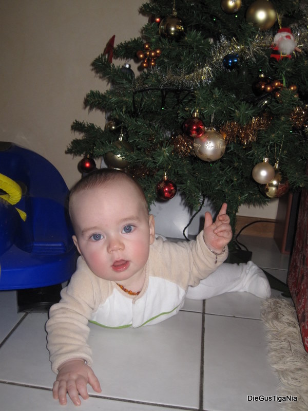 2011-12-091.JPG