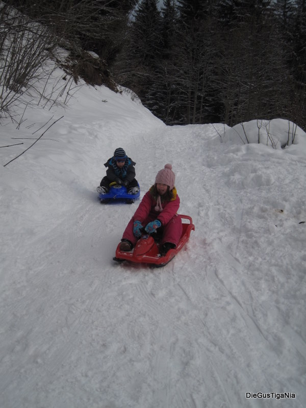 2011-12-124.jpg