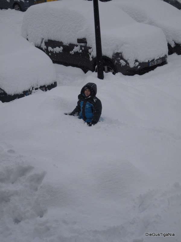 2011-12-126.jpg