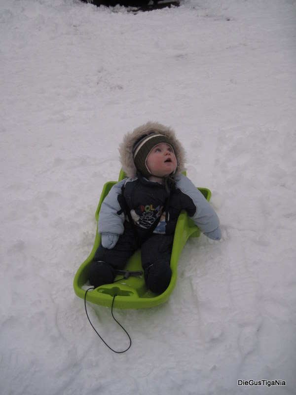 2011-12-133.JPG