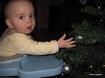 2011-12-010.JPG
