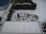 2011-12-062.jpg