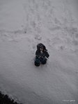 2011-12-125.jpg