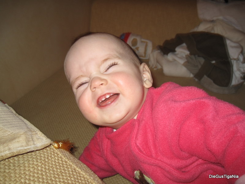 2012-02-03.JPG