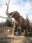 2012-02-83.JPG