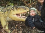 2012-02-85.JPG