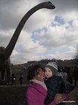 2012-02-92.JPG