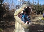 2012-02-94.JPG