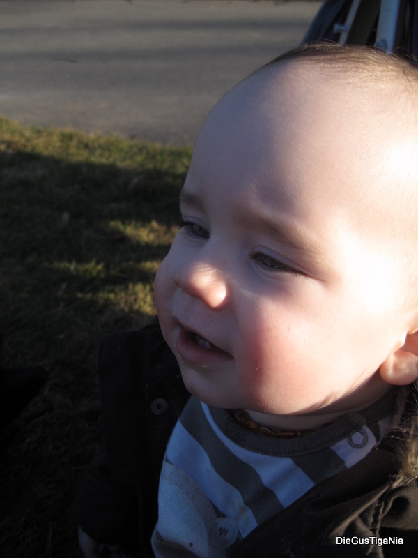2012-03-05.JPG