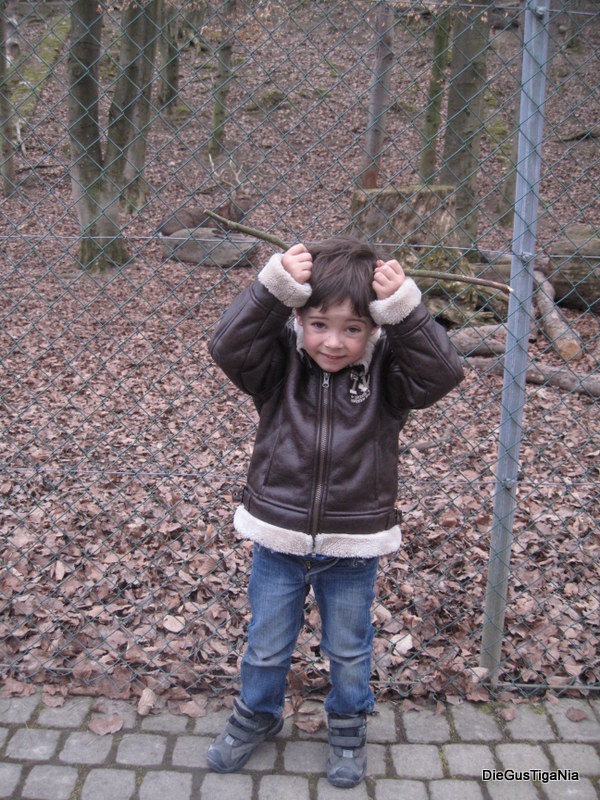 2012-03-06.JPG