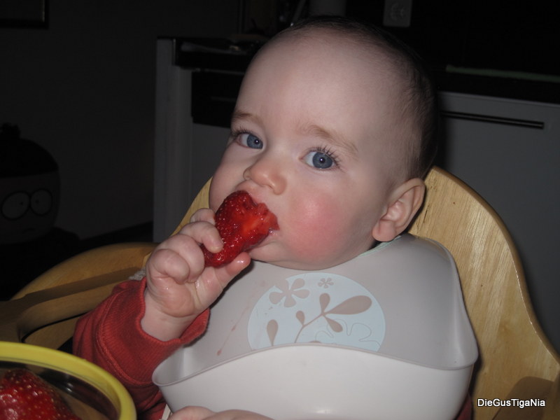 2012-03-16.JPG