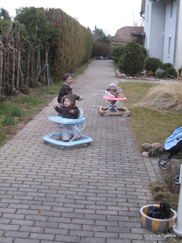 2012-03-28.JPG