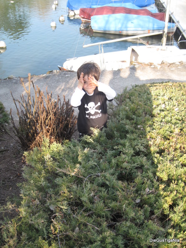 2012-03-32.JPG