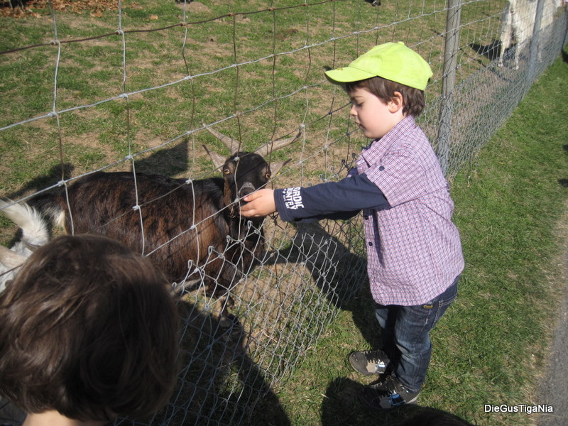 2012-03-36.JPG
