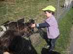 2012-03-36.JPG