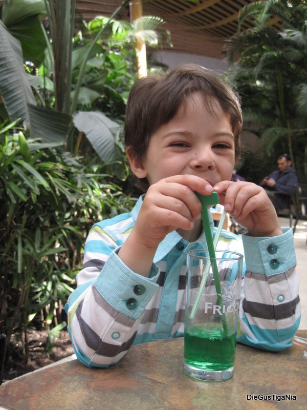 2012-04-27.JPG