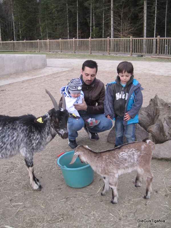 2012-04-50.JPG